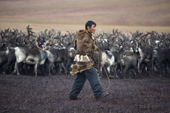 Chukchi reindeer herder, Vanya Votgyrgin, walks amongst the reindeer herd with his lasso during the Chukchi 'Festival of the Young Reindeer.' Iultinsky District, Chukotka, Siberia, Russia.