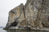 Guillimots & Kittiwakes on Nuneangan Island's bird cliffs. Beringia National Park, Providensky Region of Chukotka. Russian Far East