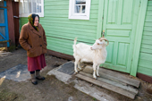 Maria, an elderly woman, at her home in Pogost Village with her goat Rosa. Ryazan Province, Russia. 2006
