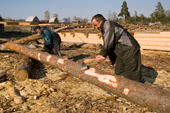 Forestry workers stripping the bark off pine logs near Gus-Zheleznyy. Ryazan Province, Russia. 2006