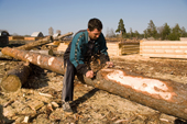 A forestry worker stripping the bark off a pine log near Gus-Zheleznyy. Ryazan Province, Russia. 2006