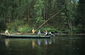 Tuvans fishing for Grayling on a river near Chazylar. Republic of Tuva, Siberia, Russia. 1998