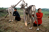 Argaana & her grandmother, Risha milk their family's reindeer at a herders' camp. Todzhu,Tuva, Siberia, Russia. 1998