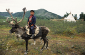 A Tuvan boy rides a reindeer at a herders' camp in Todzhu. Republic of Tuva, Siberia, Russia. 1998