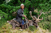 Elderly woman at a rest stop, now she will dismount from her reindeer. Todzhu. Republic of Tuva, Siberia. 1998