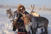 Vikka Piak, a Forest Nenet girl, harnesses one of her reindeer.Numto, Khanty-Mansiysk, Siberia, Russia. 2000