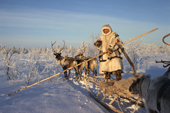 Khanty with Reindeer Sled