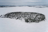 Aerial view of the sacred island in the frozen lake of Numto (Num's lake). Num is the principal deity of the Nenets and Forest Nenets people. Numto is situated in the north of Khanty Mansiysk region. Northwest Siberia, Russia