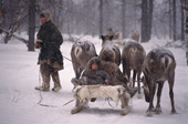 Nyadma Khudi, a Nenets man, takes his boys to collect wood in the forest, it is snowing. Yamal. Siberia. Russia.