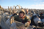 Ilko, a Nenets boy, leans over a corral fence while helping his family work with their reindeer.Yamal Peninsula, W.Siberia, Russia