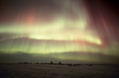 Northern lights, Aurora borealis, over a Nenets reindeer herders camp. Yamal Peninsula, W.Siberia, Russia