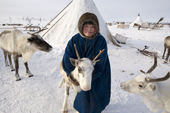 Oktobrina, a Nenets girl, holds a yearling reindeer at her family's winter camp on the tundra. Yamal, NW Siberia, Russia.