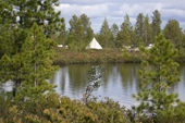 A Forest Nenets summer camp at the edge of a lake in a forest. Purovsky Region, Yamal, Western Siberia