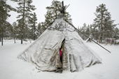 A Forest Nenets girl peers out of her family's tent at a winter camp in the Purovsky region of the Yamal. Western Siberia, Russia.
