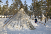 A Forest Nenets winter reindeer herders' camp in the Purovsky region of the Yamal. Western Siberia, Russia