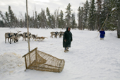 Forest Nenets men about to set a fish trap on a frozen river in the Purovsky region of the Yamal. Western Siberia.