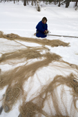 A Forest Nenets man prepares to set a fishing net under the ice on a frozen river in the Purovsky region of the Yamal. Western Siberia.