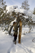 Alexei Piak, a Forest Nenets man, ties his skis to a tree while out hunting in the forest during the winter. Purovsky Region, Yamal, Western Siberia, Russia.