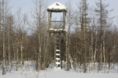 A guard post at a prison camp from the Stalin era near Yarudey. Yamal, Western Siberia, Russia