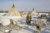 An elderly Nenets woman at a reindeer herders' winter camp in the Yamal. western Siberia, Russia