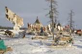 Reindeer skins and washing drying on a line at a Nenets reindeer herders' winter camp in the Yamal. Western Siberia, Russia