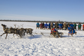 A Nenets man competing in a reindeer race at a herders festival in the Yamal. Western Siberia, Russia