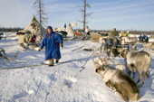 A Nenets reindeer herders' winter camp in the Yamal. Western Siberia, Russia