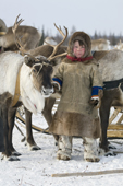 Paedavyaku, a Nenets boy, holds a draught reindeer at his family's winter camp in the Yamal. Western Siberia, Russia