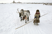 Paedavyaku, a Nenets boy, leads two draught reindeer near his family's winter camp in the Yamal. Western Siberia, Russia