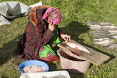 Lidiya Tokhma a Khanty woman, takes a call on her mobile phone while cleaning a catch of Broad Whitefish at a camp on the River Ob. Yamal, Western Siberia, Russia