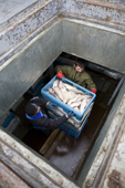 Deck hands unloading boxes of fish from the hold of a fishing boat at the quayside in Aksarka on the River Ob. Yamal, Western Siberia, Russia