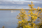 View of the River Ob in autumn from Gornoknyazevsk. Yamal, Western Siberia, Russia.