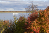 View of the River Ob in autumn from Gornoknyazevsk. Yamal, Western Siberia, Russia.