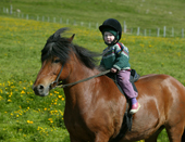 Child on Icelandic Pure Breed Horse, Iceland