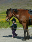 Child on Icelandic Pure Breed Horse, Iceland