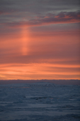 Sun pillar at sunset, the sunlight reflecting off ice crystals in the cold air. Kap Tobin, Scoresbysund. East Greenland
