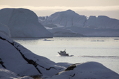 A fishing boat heads into the Ilulissat ice Fiord. West Greenland. A UNESCO world Heritage site.