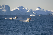 Fishing boats returning to Ilulissat from the icefiord, A UNESCO World Heritage Site. West Greenland