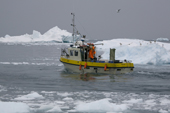 A fishing boat crossing the Ilulissat Icefiord. A UNESCO World Heritage site. West Greenland.