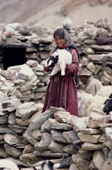 Yak herder's daughter with a goat kid. Nimaling Plateau. Ladakh. India.